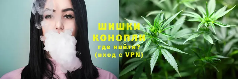 darknet Telegram  Губаха  Шишки марихуана SATIVA & INDICA 